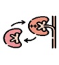Kidney Transplants
