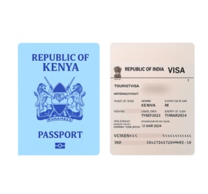 Passport and visa